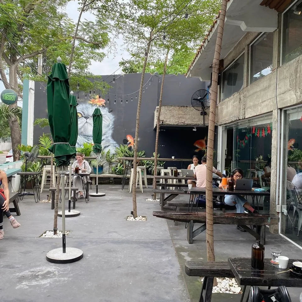 Một góc dĩa salad Green Box với rau lá xanh, cà chua bi và sốt nhẹ.